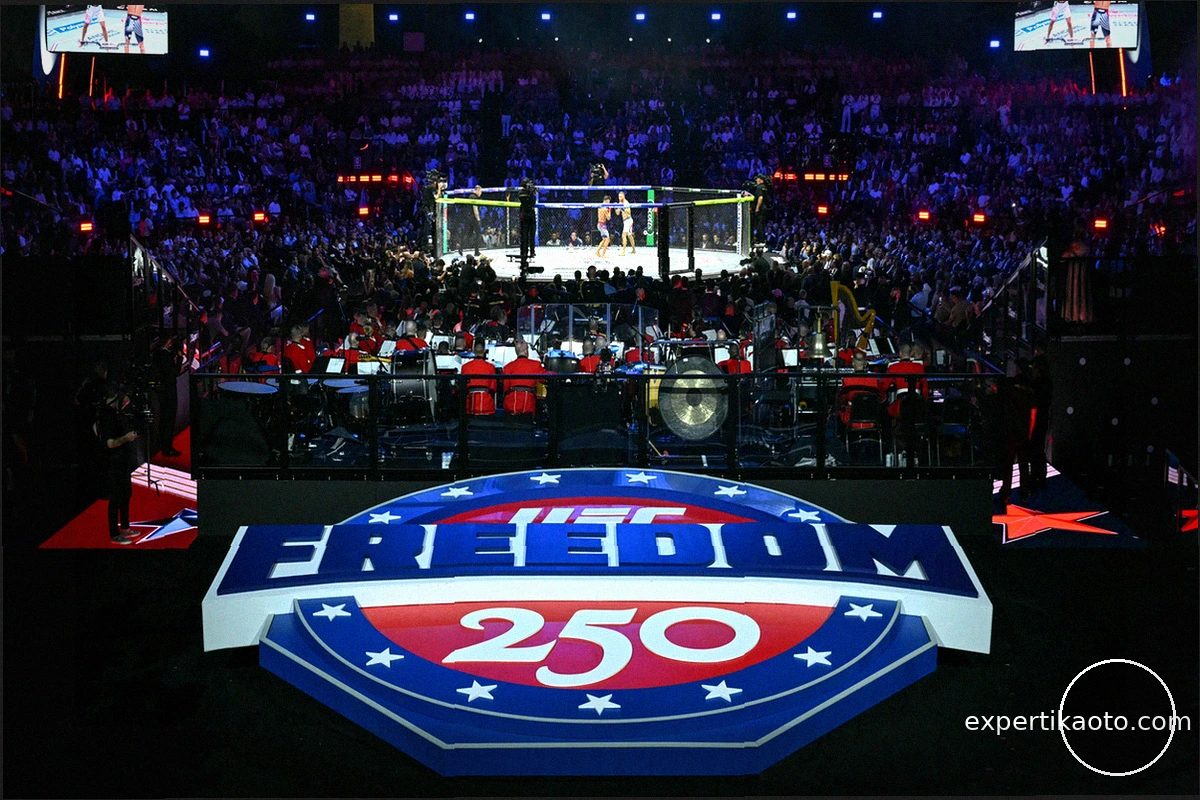 UFC: убытки в 30 млн долларов на мероприятии в Белом доме